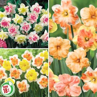 Spring Blend Collection 1 Thumbnail